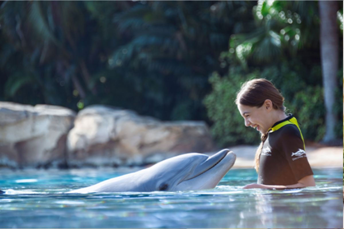 Florida Residents Save 20% to Visit Discovery Cove in Orlando