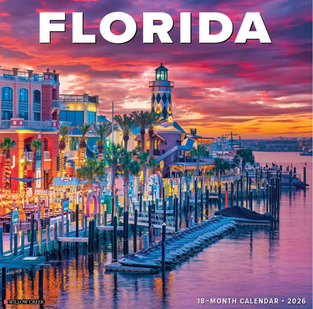 Get Organized with Calendars & Planners